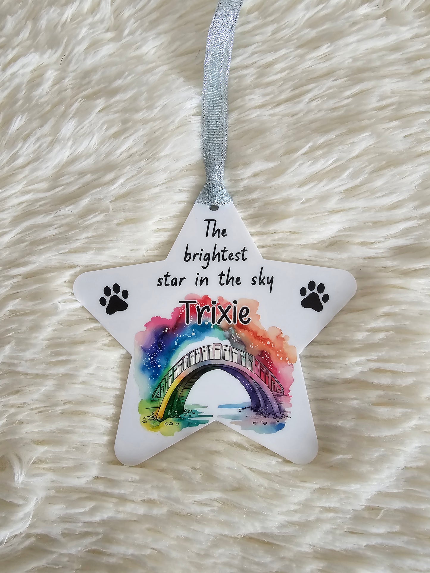Rainbow Bridge Pet Memorial hanging star