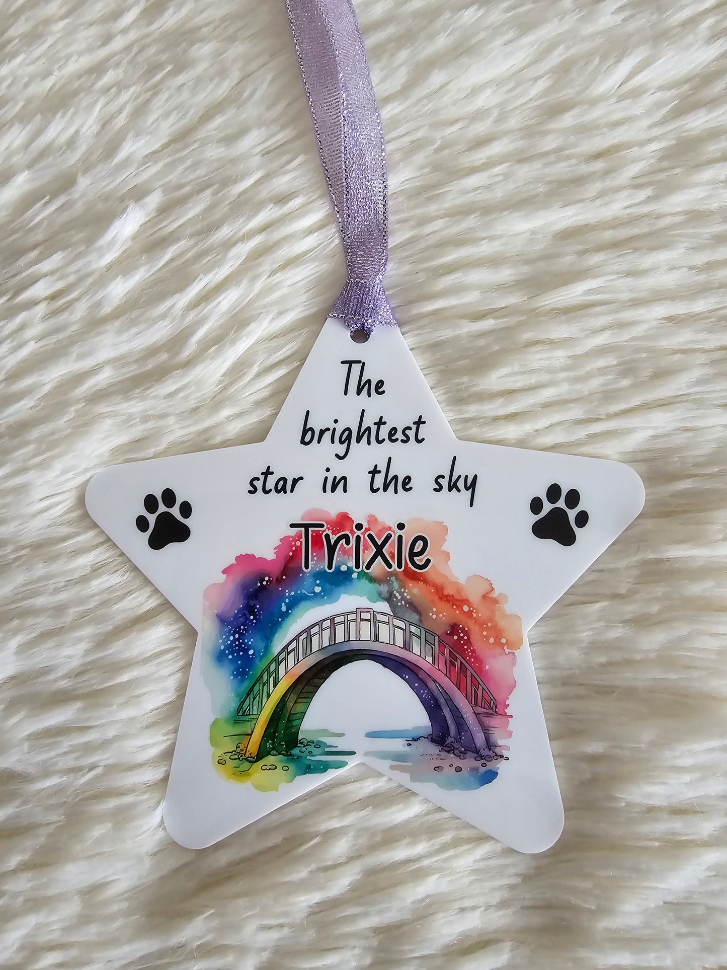 Rainbow Bridge Pet Memorial hanging star