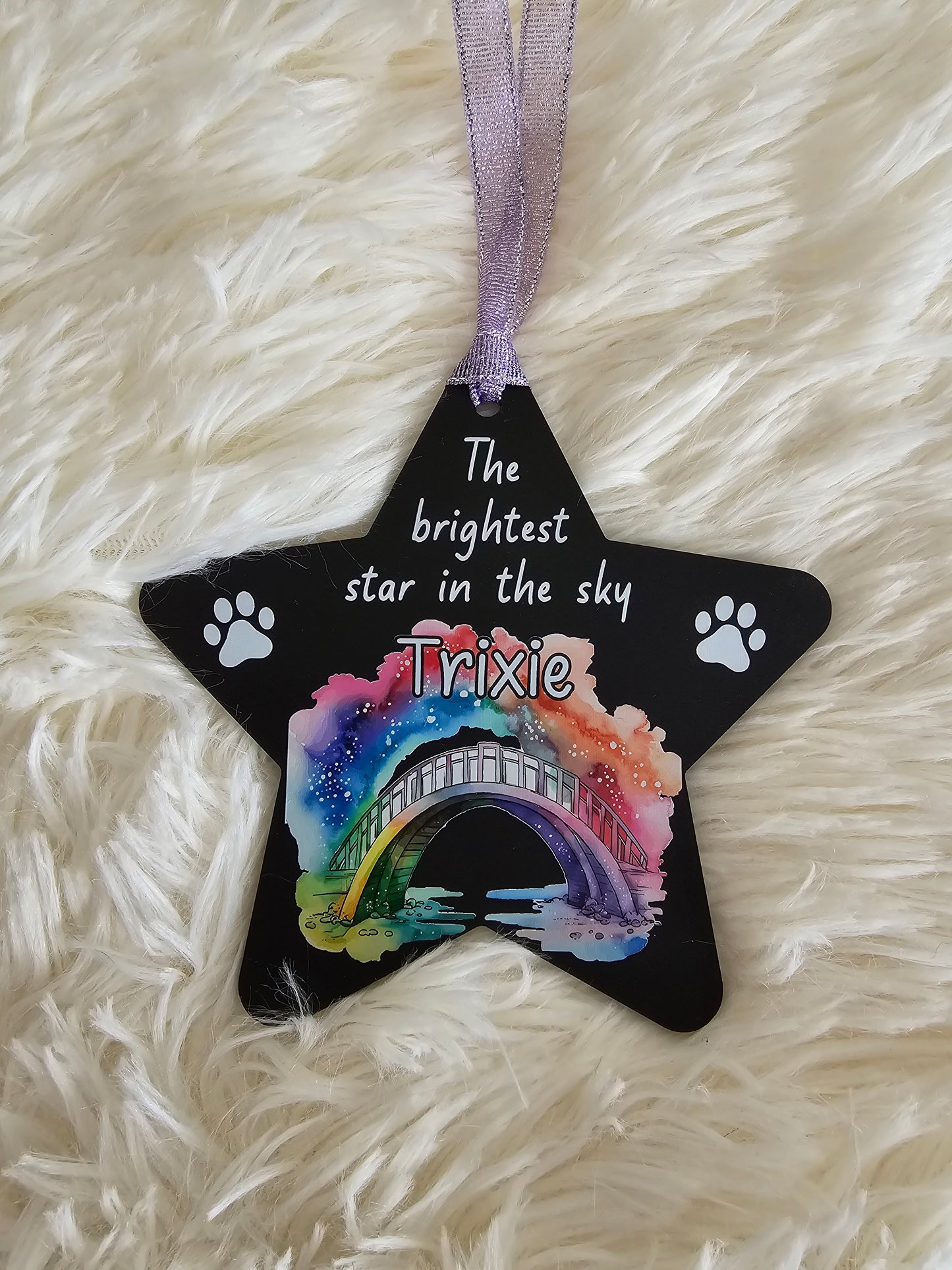 Rainbow Bridge Pet Memorial hanging star