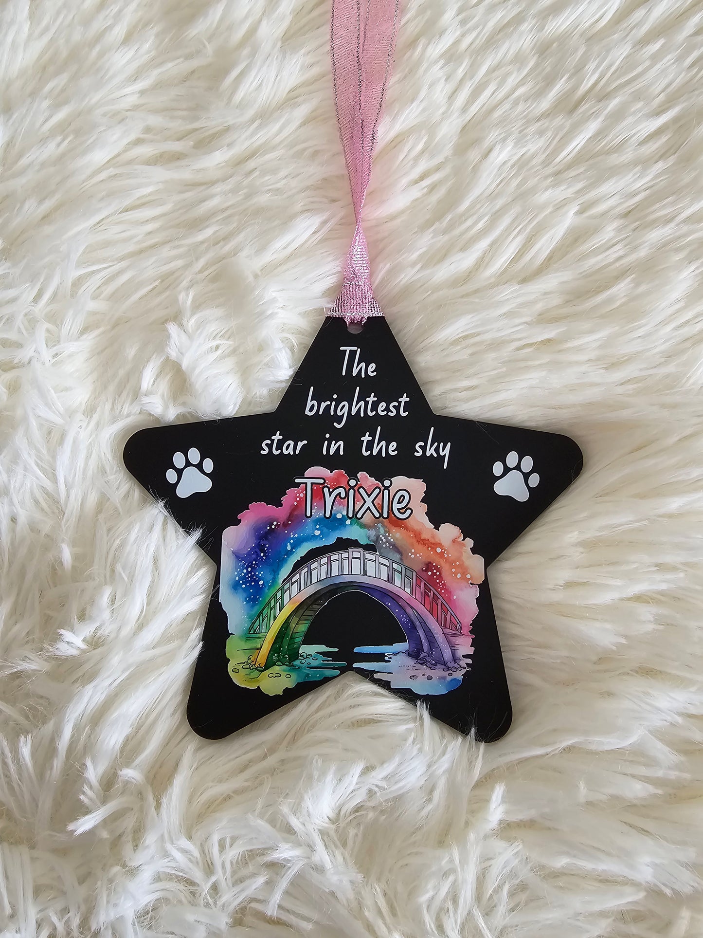 Rainbow Bridge Pet Memorial hanging star