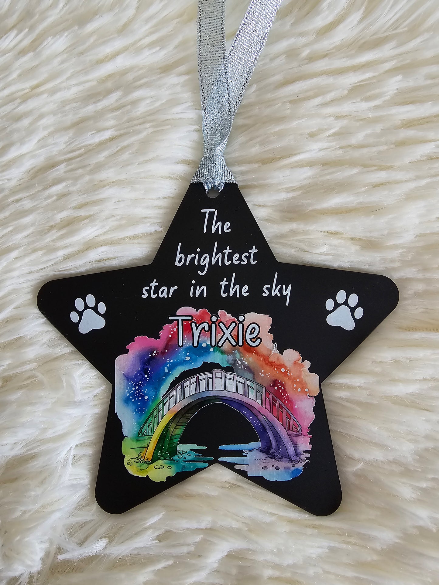 Rainbow Bridge Pet Memorial hanging star