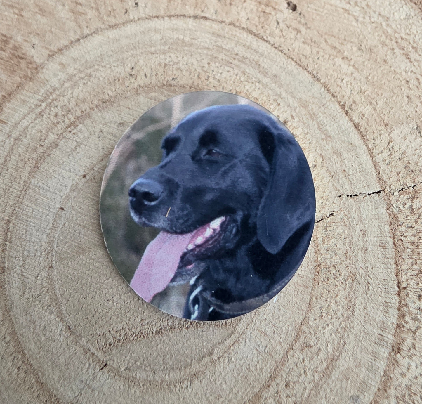 Pocket Hug Leather Keyring, Pet memorial, Rainbow Bridge Keyring, Pet Loss Pocket Hug Keyring