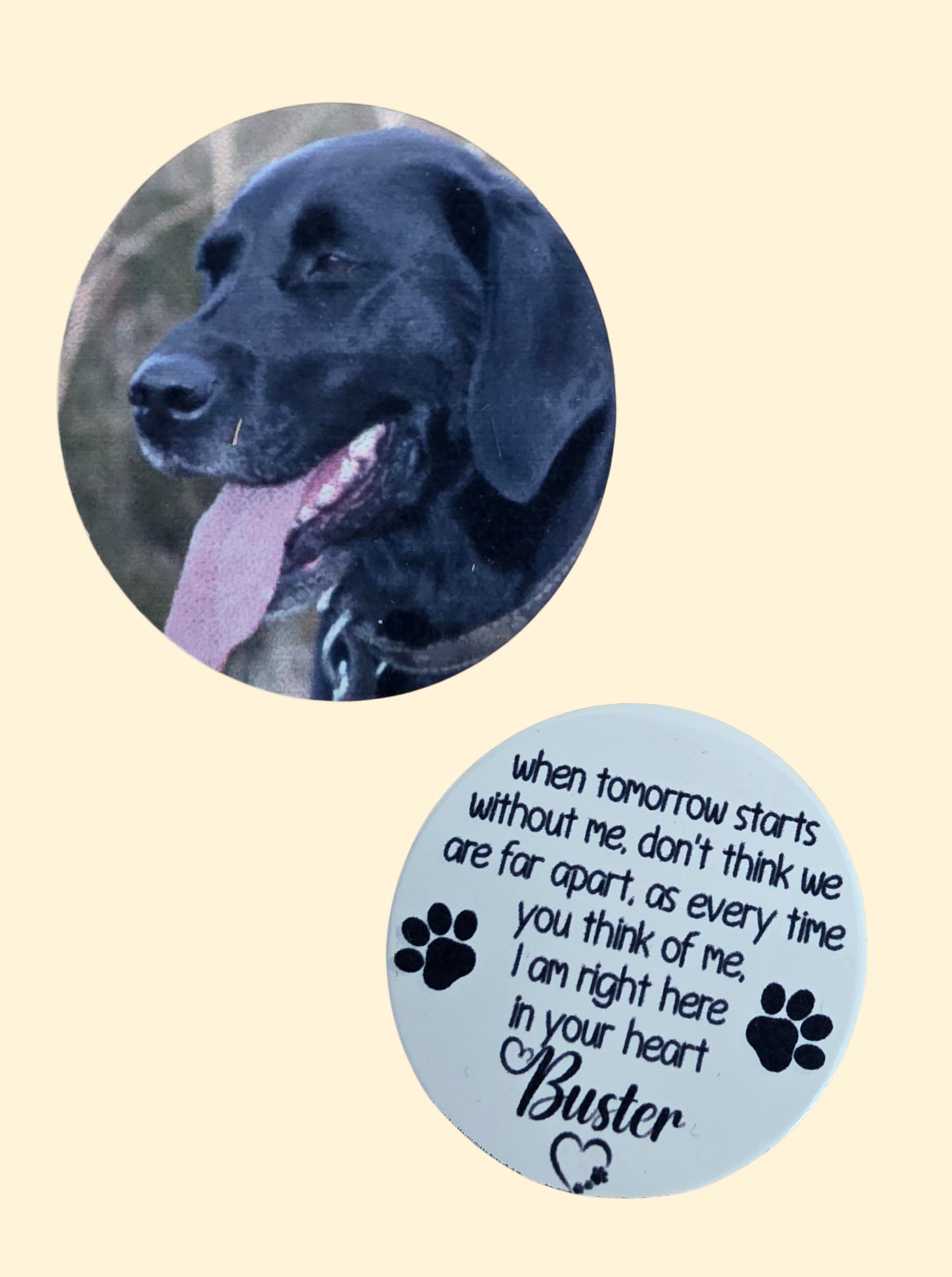 Pocket Hug Leather Keyring, Pet memorial, Rainbow Bridge Keyring, Pet Loss Pocket Hug Keyring